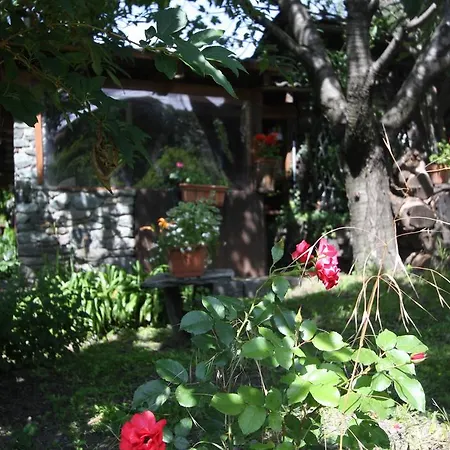 Oda ve Kahvaltı Relais Des Elfes